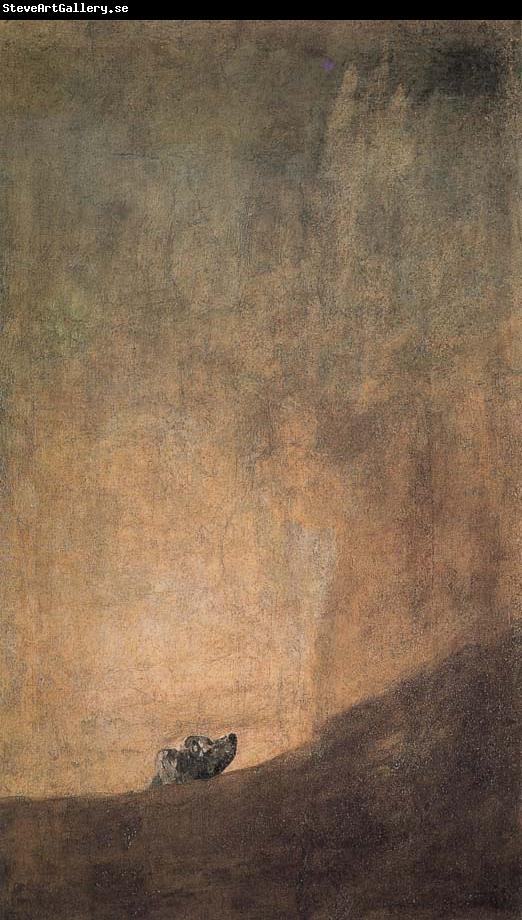 Francisco Goya The Dog